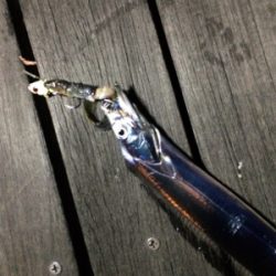 テンヤの重さは？