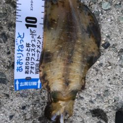 やっと秋が来た！