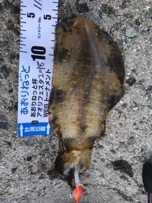 やっと秋が来た！