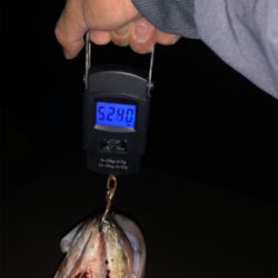 久しぶりのシーバスフィッシング