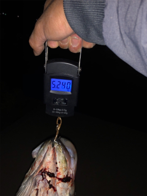 久しぶりのシーバスフィッシング