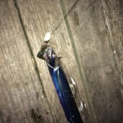 今日は渋かったぁ