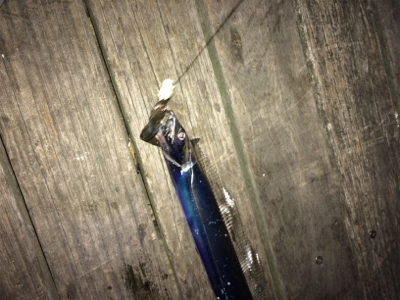 今日は渋かったぁ