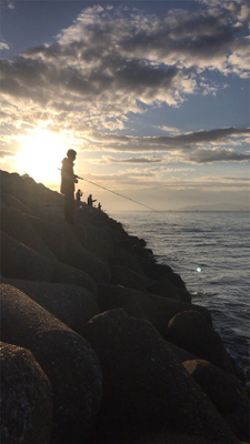 ハマチ求めて…