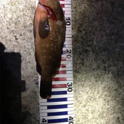 淡路島ランガン5種目達成