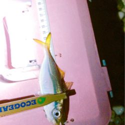 秋満喫！エンジョイライト五目ゲーム