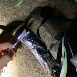 岸和田ワインド