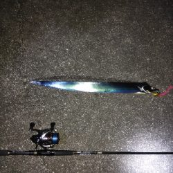 タチウオデートも面白い