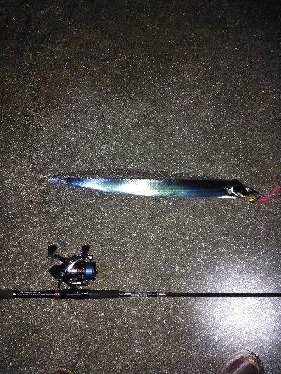 タチウオデートも面白い