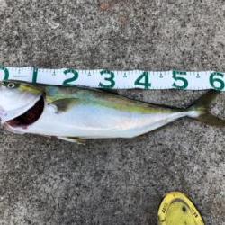 最近僕は絶好調！？