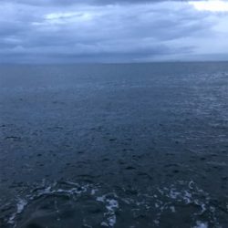 太刀魚は何処に行った？