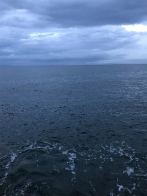 太刀魚は何処に行った？