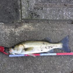 やっぱり小場所が一番!