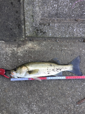 やっぱり小場所が一番!