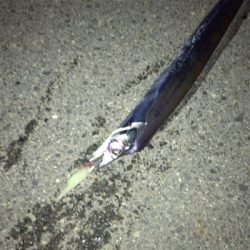 急に冷えたからか渋い