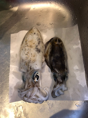 2夜連続のエギング