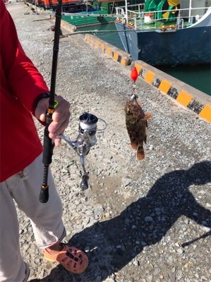 合津港で初釣り