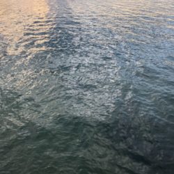 短時間エギング