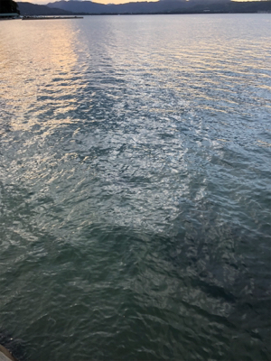 短時間エギング