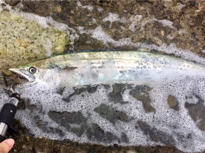 LSJigginger0805〜0928