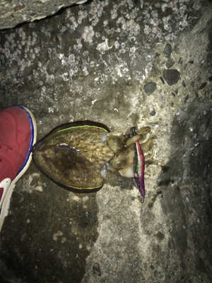 釣りメイカーのイベント