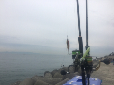 朝渋タチウオからのLSJ不発