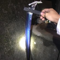 サゴシいい感じ