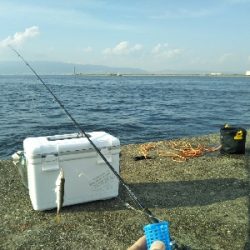 もうちょっと釣りたいよ〜