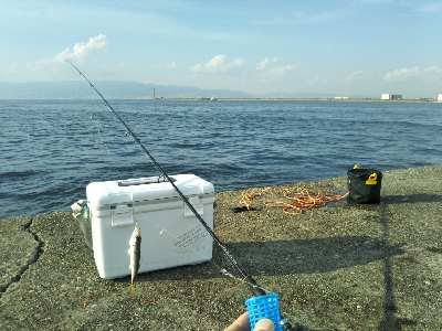 もうちょっと釣りたいよ〜