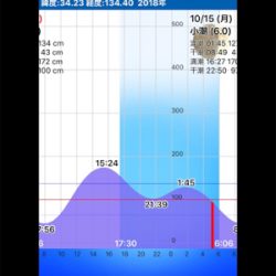 ゴロタフィッシング