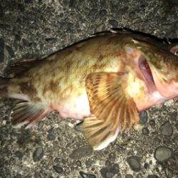 リフトでの高反応