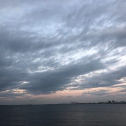 一瞬の時合いで1匹ゲット！