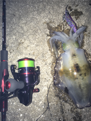 フジラッピさんと釣行！