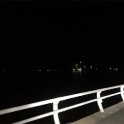 エギング病再発_:(´ཀ`」 ∠):