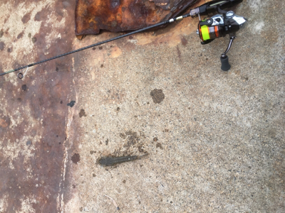 デイアジング!…のつもり