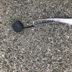 初ドラゴンありがとうございます!