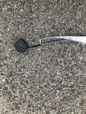 初ドラゴンありがとうございます!