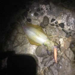 微妙な天気だよねー