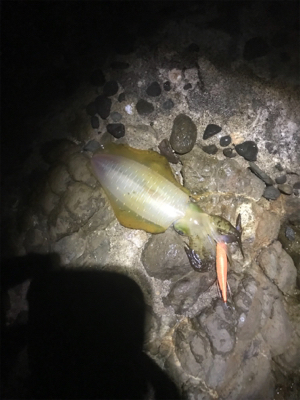 微妙な天気だよねー