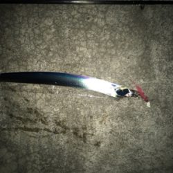 今夜もぼちぼちです‼︎