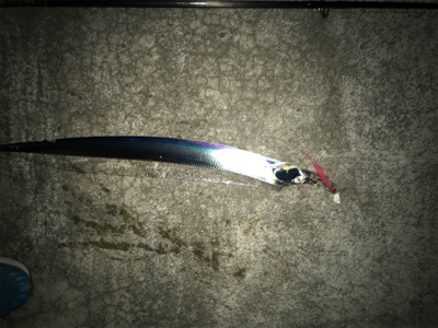 今夜もぼちぼちです‼︎