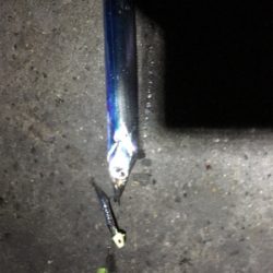 まさかのゲスト