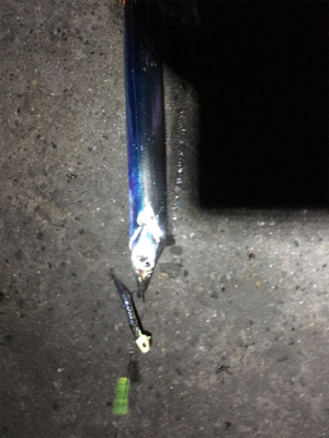 まさかのゲスト