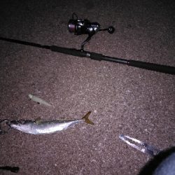 うきタチ、ワインドサバ