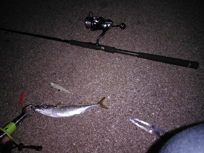 うきタチ、ワインドサバ