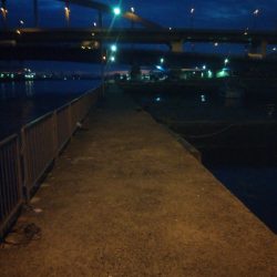 南港フェリー乗り場（本日ダブルヘッダー）