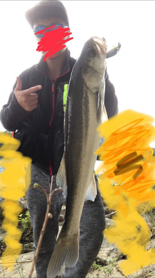 シーバスデイゲーム