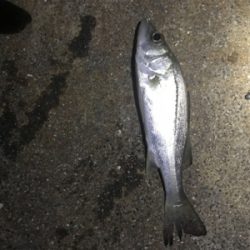 五目達成ライトゲーム