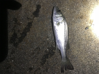 五目達成ライトゲーム