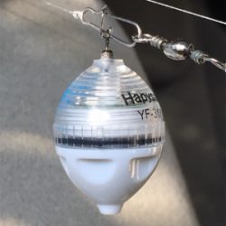 昨日に引き続き今夜もタチフロート。